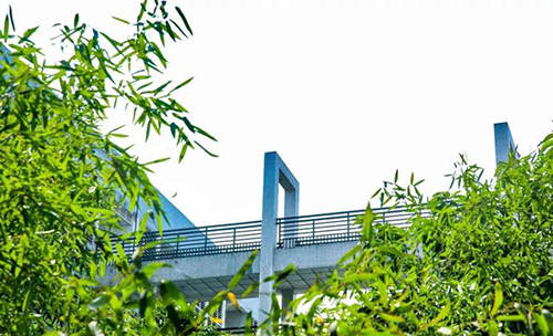 重慶城市管理職業(yè)學院校園美色