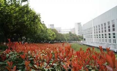 重慶城市管理職業(yè)學院校園一角