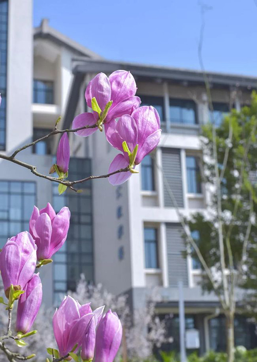 重慶工程職業(yè)技術學院校園春花