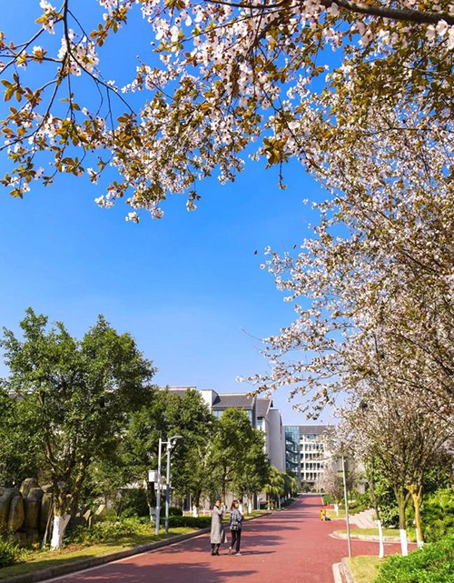 重慶工程職業(yè)技術學院校園春色