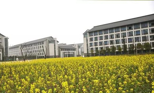重慶工程職業(yè)技術學院校園油菜花