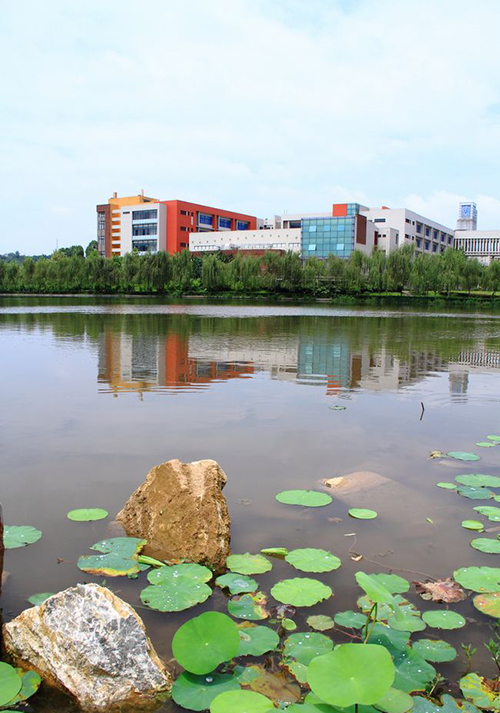 重慶工商職業(yè)學院湖畔風光
