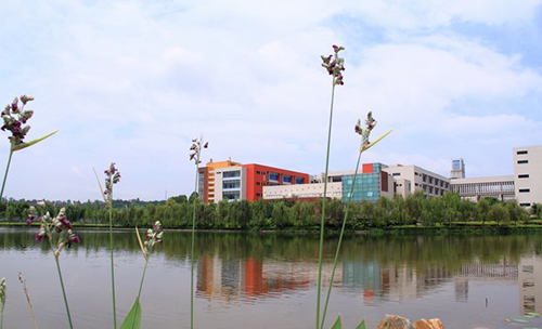 重慶工商職業(yè)學院湖面風光
