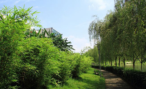 重慶工商職業(yè)學院校園小道