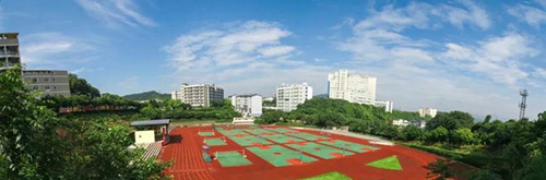 重慶科創(chuàng)職業(yè)學(xué)院綜合運動場