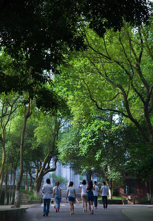 重慶科創(chuàng)職業(yè)學(xué)院和諧寧靜的校園