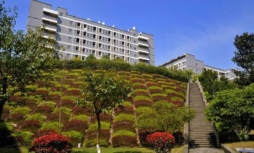 重慶建筑工程職業(yè)學院校園草坪