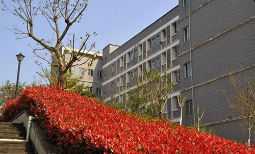 重慶建筑工程職業(yè)學院校園花壇