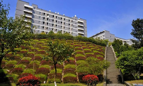 重慶建筑工程職業(yè)學院校園草坪
