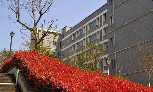 重慶建筑工程職業(yè)學院校園花壇