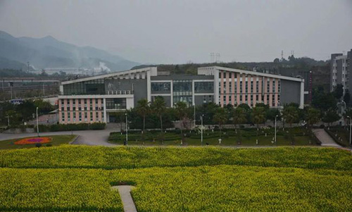 重慶商務職業(yè)學院黃色花海