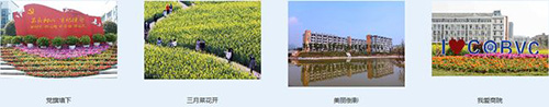 重慶商務(wù)職業(yè)學(xué)院校園風(fēng)光