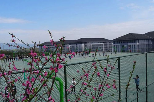 重慶化工職業(yè)學(xué)院籃球場