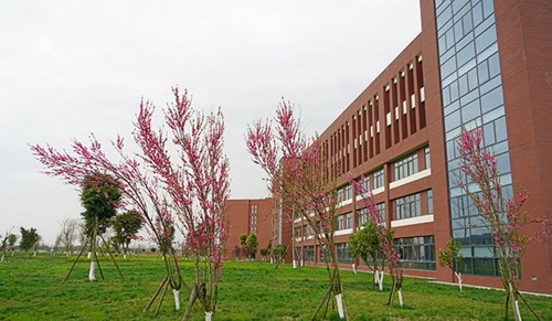 德陽(yáng)城市軌道交通職業(yè)學(xué)院校園綠化
