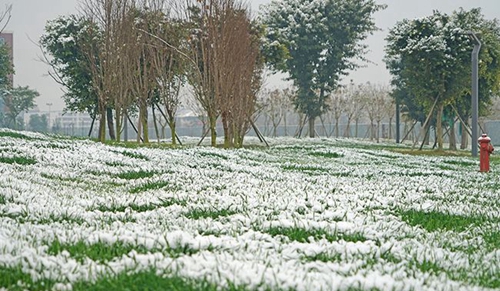 德陽(yáng)城市軌道交通職業(yè)學(xué)院校園雪景