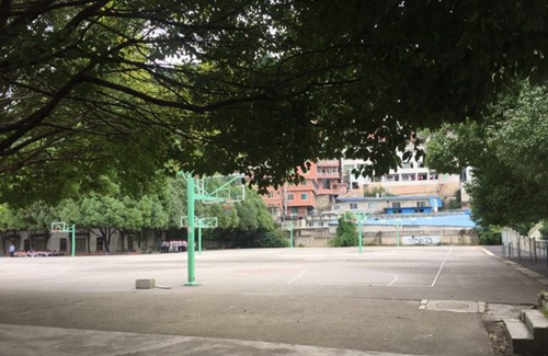 貴陽精工科技學(xué)?；@球場側(cè)面