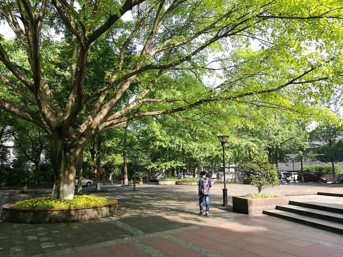 2022年重慶歌樂山哪家衛(wèi)校學(xué)費(fèi)比較便宜呢？