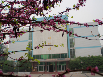 重慶市行知職業(yè)技術(shù)學(xué)校在哪里、學(xué)校地址