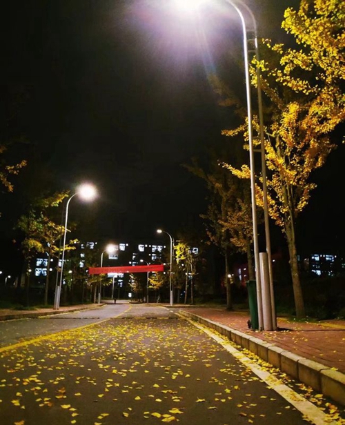 黔南民族醫(yī)學高等?？茖W校校園夜色