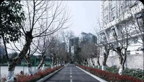 貴州電子信息職業(yè)技術(shù)學(xué)院三秋樹(shù)