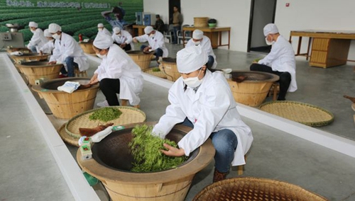 遵義職業(yè)技術(shù)學(xué)院制茶專業(yè)實(shí)訓(xùn)室