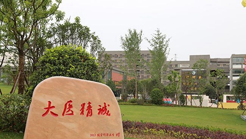 畢節(jié)醫(yī)學(xué)高等?？茖W(xué)校校園一角2