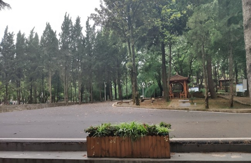 貴陽(yáng)電子職業(yè)學(xué)校林東校區(qū)綠化