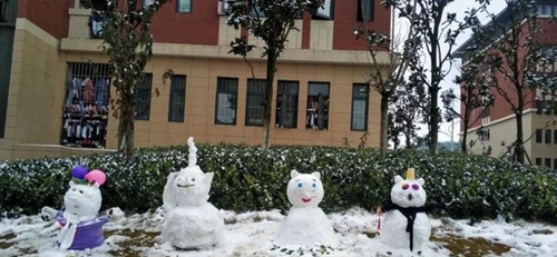 貴州電子商務職業(yè)技術學院雪人