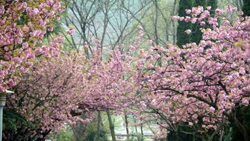 貴州工業(yè)職業(yè)技術學院校園風物紀實5