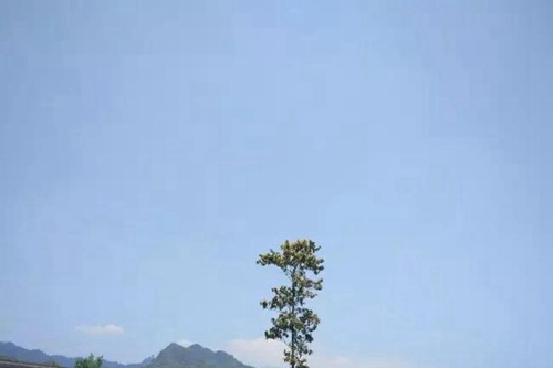成都東軟學(xué)院校園風(fēng)光