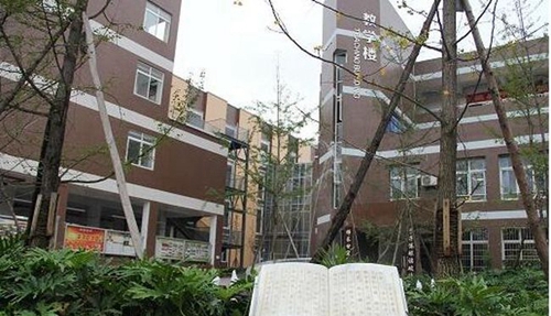 成都金牛中學(xué)校園文化