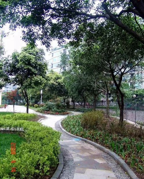 成都市第十八中學校校園小徑