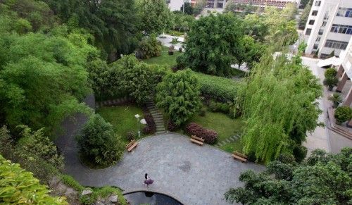 攀枝花市第三高級(jí)中學(xué)校校園環(huán)境