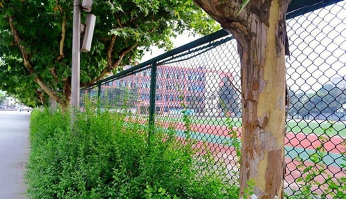 四川省江油一中操場