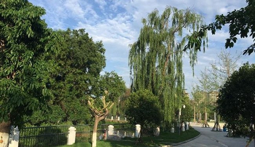 成都市三原外國(guó)語(yǔ)學(xué)校校園一角2
