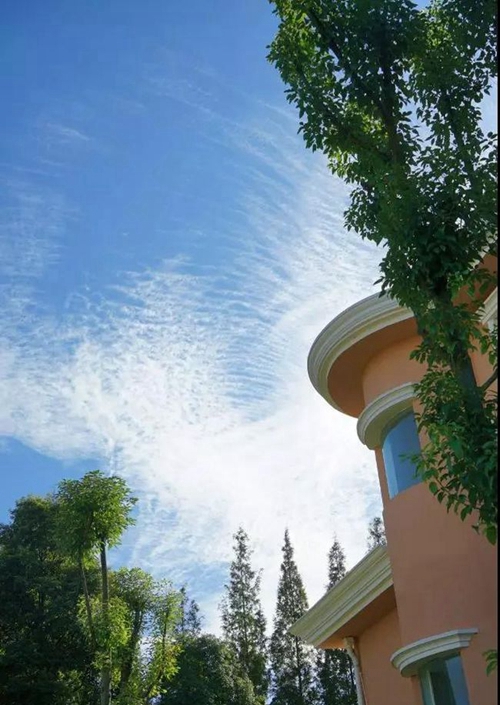成都城投菁芙蓉驛都學(xué)校校園一角