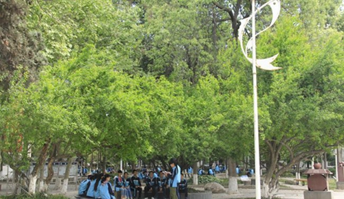 綿陽普明中學(xué)石榴園