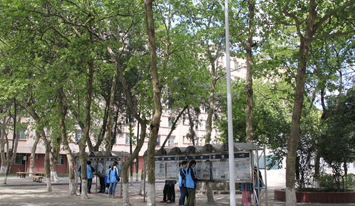 綿陽普明中學(xué)樟園