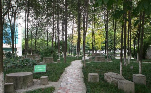 綿陽普明中學(xué)校園環(huán)境