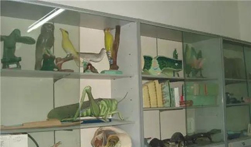 成都市籍田中學(xué)生物實驗室