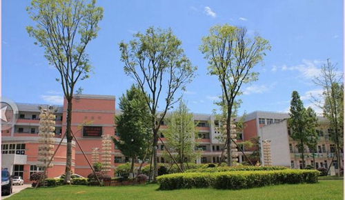 成都市籍田中學(xué)校園草坪