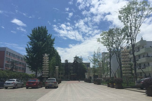 成都市籍田中學(xué)校園行道