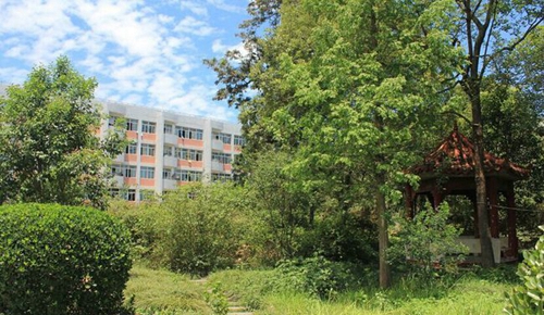 成都市籍田中學(xué)校園小徑