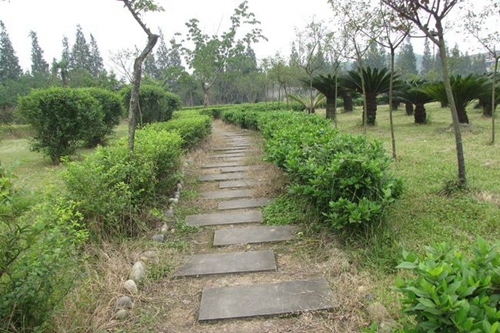 成都市籍田中學(xué)校園小路
