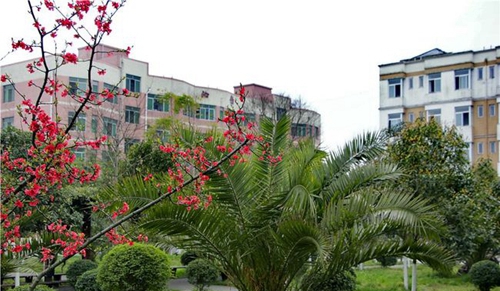 綿陽市秀水中學(xué)校校園景色