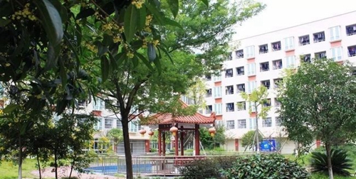 三臺縣蘆溪中學校園環(huán)境1