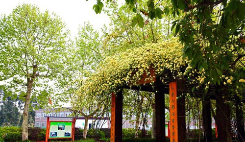 四川師范大學(xué)附屬第一實驗中學(xué)校園涼亭（錦江校區(qū)）