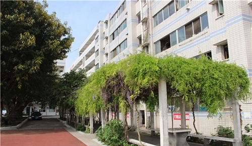綿陽市豐谷中學(xué)藝術(shù)長廊