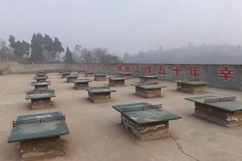 簡陽市賈家中學(xué)乒乓球臺