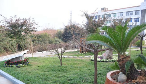 簡陽市賈家中學(xué)校園草坪